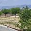 3 bedroom detached house for sale agios athanasios limassol 8375008 thumbnail 15929907
