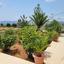 3 bedroom detached house for sale agios athanasios limassol 8375008 thumbnail 15929909
