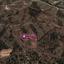 plot for sale gourri nicosia 1057008 thumbnail 13341387