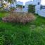 3 bedroom detached house for sale agios athanasios limassol 8560108 thumbnail 15572582