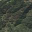 land for sale kampia nicosia 9005108 thumbnail 18379494