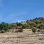 plot for sale koili paphos 1159108 thumbnail 17072085
