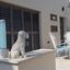 2 bedroom semi detached house for sale apostolos andreas limassol limassol 7756208 thumbnail 16647850