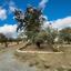4 bedroom detached house for sale agios theodoros larnacas larnaca 1774208 thumbnail 13142467