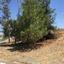 land for sale mitsero nicosia 946208 thumbnail 15602788