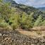 land for sale oikos marathasas nicosia 1701208 thumbnail 4502775