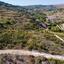 land for sale polemi paphos 8630208 thumbnail 16718160