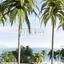 3 bedroom apartment for rent neapolis limassol 8333408 thumbnail 17528011