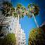 3 bedroom apartment for rent potamos germasogeias limassol 1940408 thumbnail 14293818
