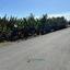 land for sale peyia paphos 8529408 thumbnail 15454305