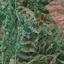 land for sale sina oros nicosia 8099408 thumbnail 13203941