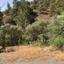 7191 SQM Land for sale in Kalo Chorio Lemesou, Limassol thumbnail 15873580