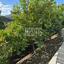 2 bedroom detached house for sale arakapas limassol 7838508 thumbnail 11047250