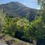 2 bedroom detached house for sale arakapas limassol 7838508 thumbnail 14523203