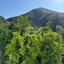 2 bedroom detached house for sale arakapas limassol 7838508 thumbnail 14523210