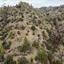 land for sale kapileio limassol 7805508 thumbnail 17869488