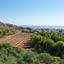 land for sale protaras famagusta 1236508 thumbnail 5605457