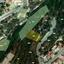 land for sale tala paphos 8395508 thumbnail 14820032