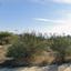 plot for sale pissouri limassol 8908508 thumbnail 17404835