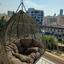 1 bedroom apartment for rent agioi omologitai nicosia 8821608 thumbnail 16935232