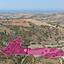 19399 SQM Land for sale in Choli, Paphos thumbnail 14231284