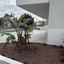 2 bedroom apartment for sale chrysopolitissa larnaca 7526608 thumbnail 16229268