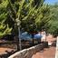 4 bedroom detached house for sale pissouri limassol 1137608 thumbnail 15162133