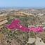 land for sale choli paphos 8237608 thumbnail 14231274