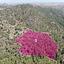 land for sale kapedes nicosia 7872608 thumbnail 17708074