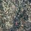 land for sale koilani limassol 8076608 thumbnail 15596223