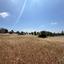 land for sale souni zanakia limassol 8999608 thumbnail 18226358