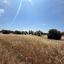 land for sale souni zanakia limassol 8999608 thumbnail 18226362