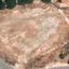 plot for sale coral bay paphos 1681608 thumbnail 4664272