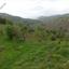 10034 SQM Land for sale in Pentalia, Paphos thumbnail 15600213
