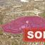 land sold vouni limassol 8145708 thumbnail 13422273