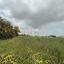 plot for sale strovolos nicosia 8489708 thumbnail 15280991