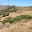 2900 SQM Land for sale in Episkopi Pafou, Paphos thumbnail 15734098