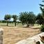 4 bedroom detached house for sale aphrodite hills paphos 7736808 thumbnail 10183609