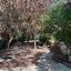 4 bedroom detached house for sale parekklisia limassol 8085808 thumbnail 14558909