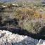 land for sale asgata limassol 1066808 thumbnail 1212184