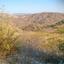 land for sale episkopi pafou paphos 8529808 thumbnail 15734097