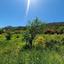land for sale kato lefkara larnaca 1032808 thumbnail 15603759