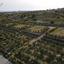 land for sale maroni larnaca 8244808 thumbnail 13844543