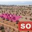 land sold mazotos larnaca 1171808 thumbnail 3555064