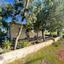 land for sale ayia napa famagusta 1269018 thumbnail 13155468