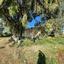 land for sale ayia napa famagusta 1269018 thumbnail 13155469