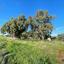 land for sale ayia napa famagusta 1269018 thumbnail 13155471