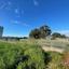 land for sale ayia napa famagusta 1269018 thumbnail 13155473