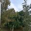 2 bedroom apartment for rent sotiros agios ioannis larnaca larnaca 8225118 thumbnail 16146496