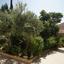 5 bedroom detached house for sale agios tychonas limassol 7739118 thumbnail 12813090
